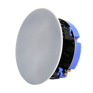 Lithe Audio głośnik sufitowy Bluetooth