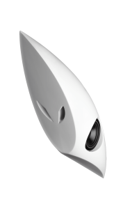Architettura Sonora Shark