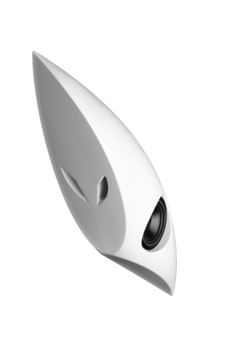shark.png