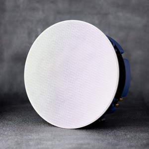 Lithe Audio głośnik sufitowy łazienkowy WiFi IP44 & głośnik pasywny